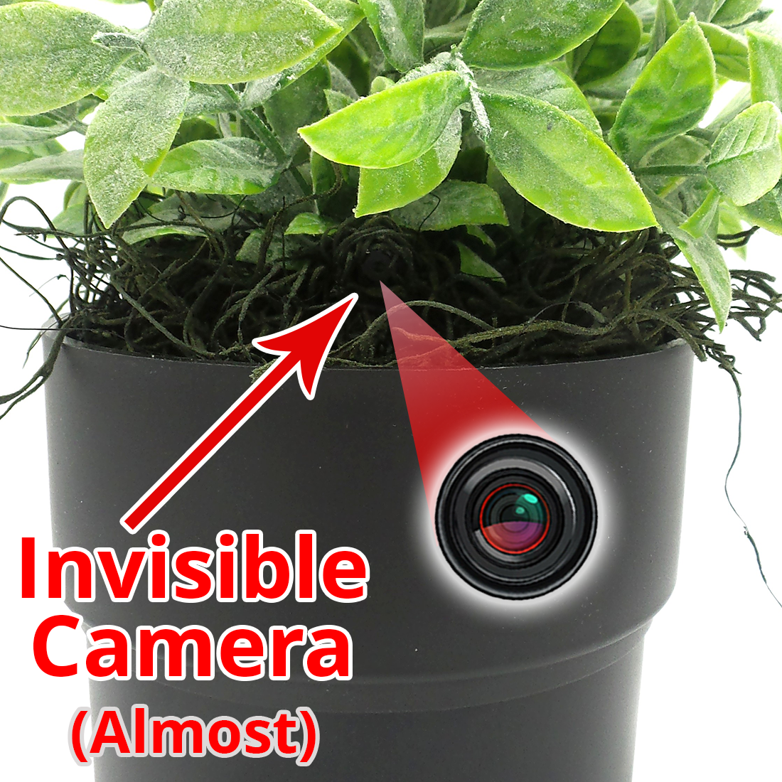 Artificial Plant WiFi Hidden Camera | Long Battery Life | Custom Made