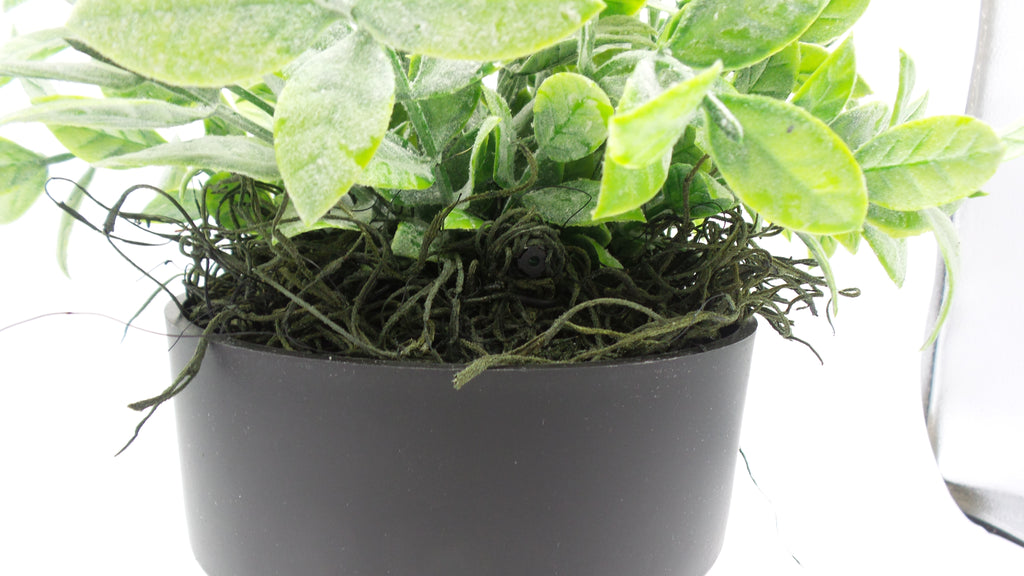 Artificial Plant WiFi Hidden Camera | Long Battery Life | Custom Made