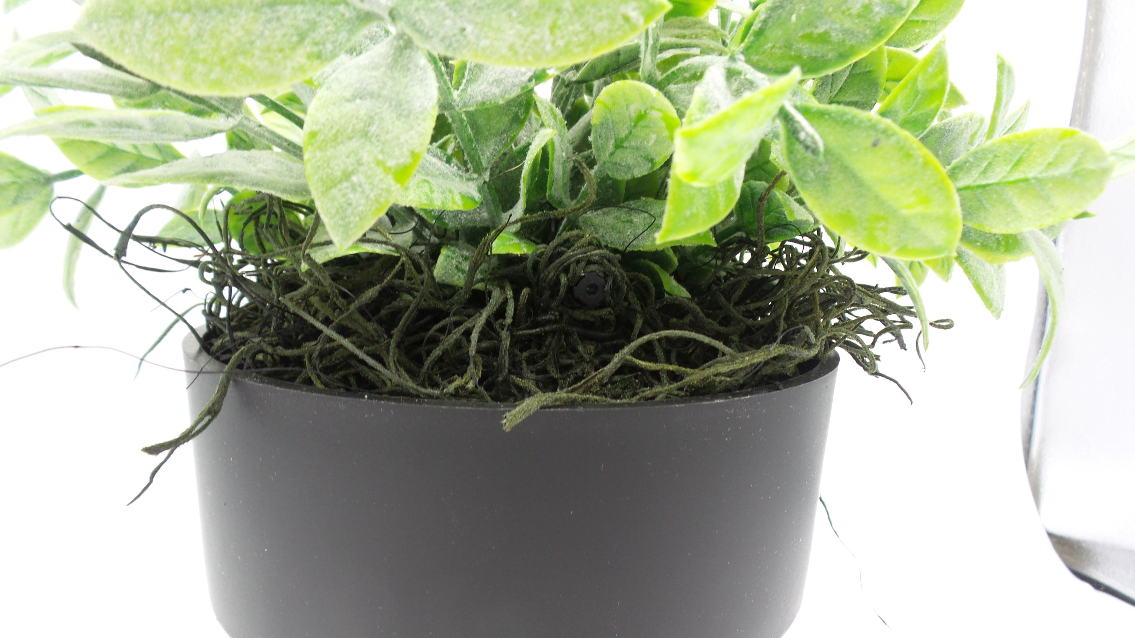 Artificial Plant WiFi Hidden Camera | Long Battery Life | Custom Made